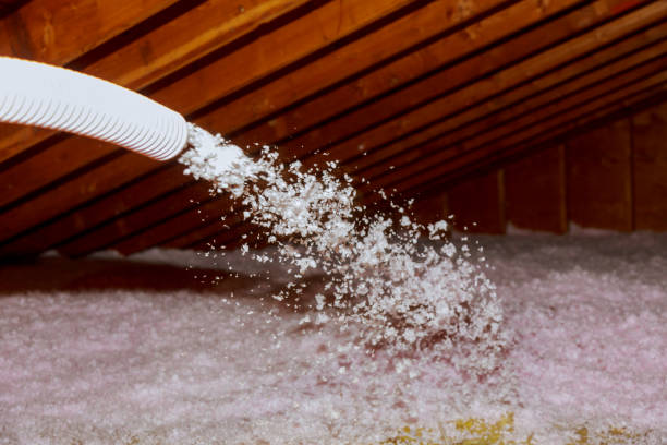 Best Residential Insulation in St Petersburg, FL