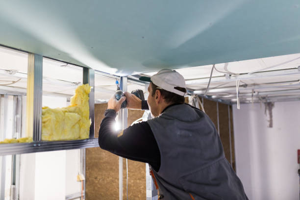 Best Geographic-Specific Insulation Services in St Petersburg, FL