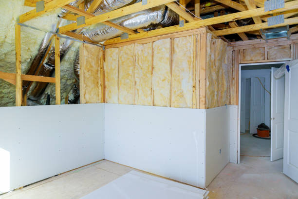 Best Residential Insulation in St Petersburg, FL