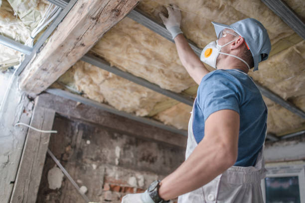 Best DIY Insulation Kits and Guidance in St Petersburg, FL