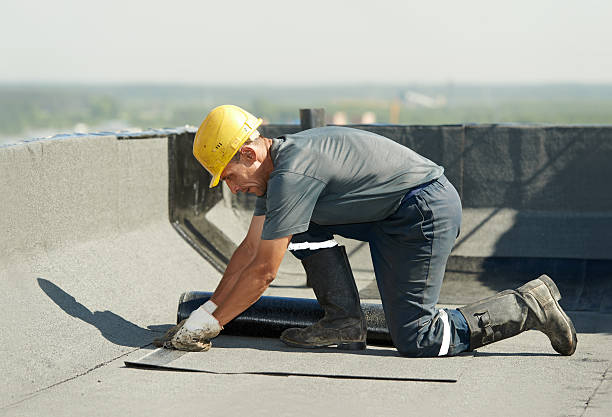 Best Specialized Insulation Services in St Petersburg, FL