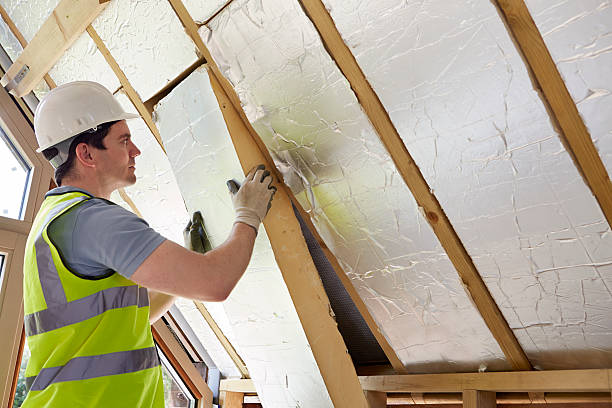 Best Insulation Maintenance and Repair in St Petersburg, FL