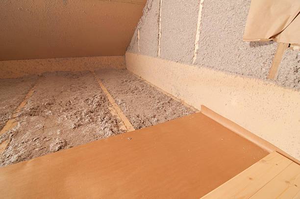 Best Specialized Insulation Services in St Petersburg, FL